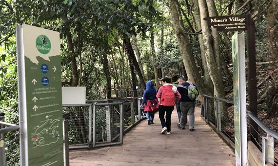 健行步道 Scenic Walkway
